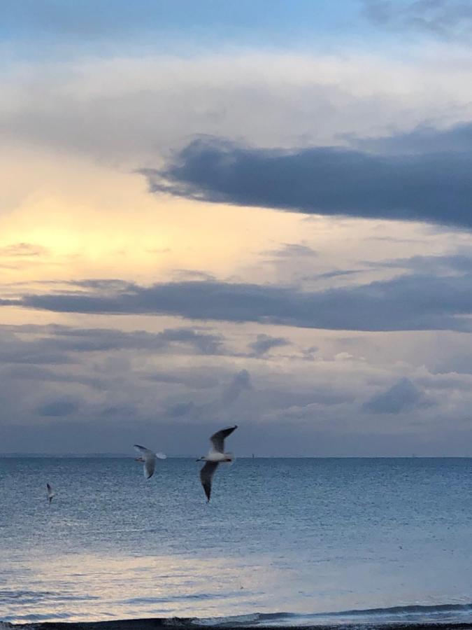 Le Spot, Appartement Spacieux A 30M De La Mer 45M2 Luc-sur-Mer Zewnętrze zdjęcie